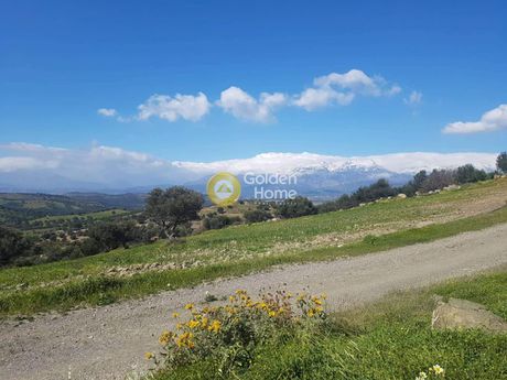 Αγροτεμάχια 3.000τ.μ. για πώληση-Μοίρες » Κουσές