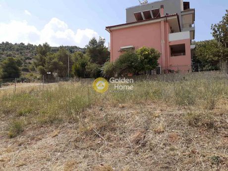 Οικόπεδο 359τ.μ. για πώληση-Άνω λιόσια » Ζωφριά