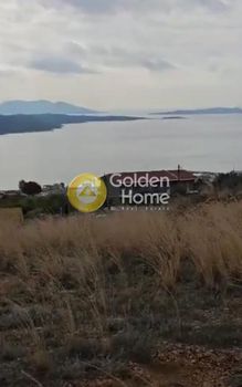 Οικόπεδο 4.007 τ.μ. για πώληση