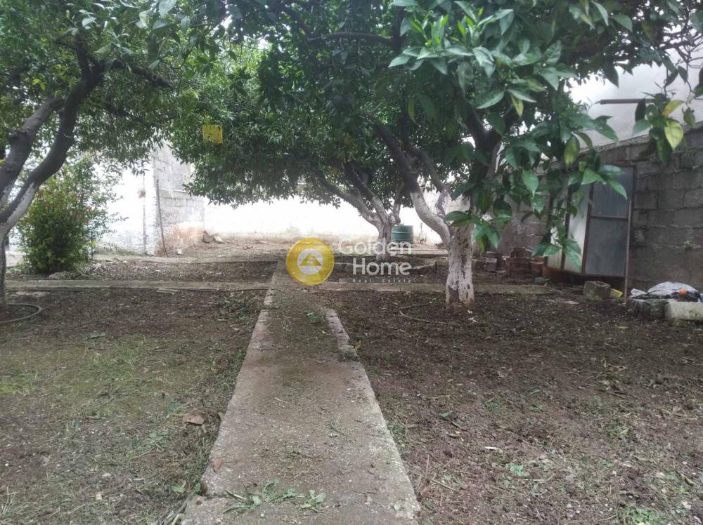 Οικόπεδο 146 τ.μ. προς πώληση, Άγιος Γεώργιος Άμφισσας
