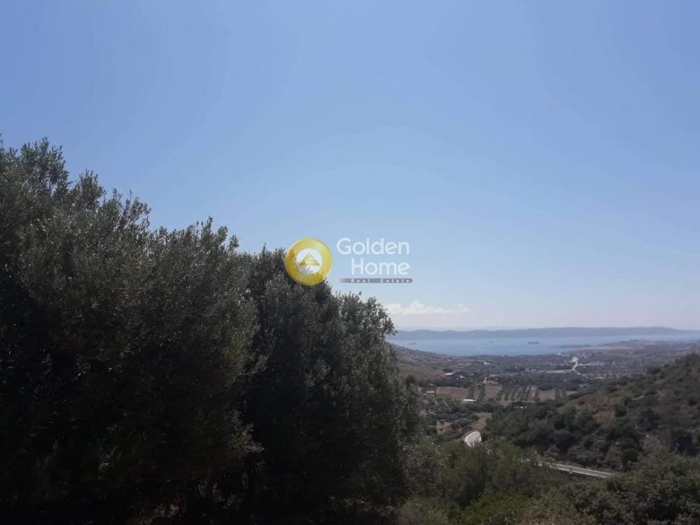 Αγροτεμάχια 914 τ.μ. προς πώληση, Πλάκα Κερατέας
