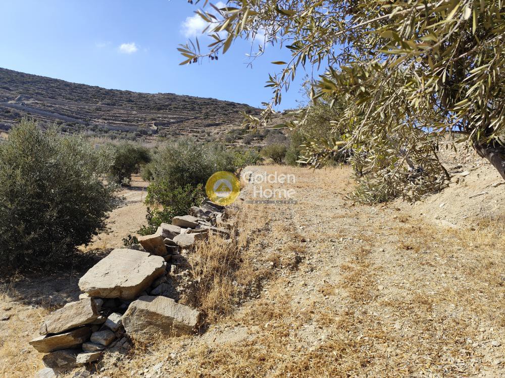 Αγροτεμάχια 7.800 τ.μ. προς πώληση, Άγιος Αρσένιος Νάξου