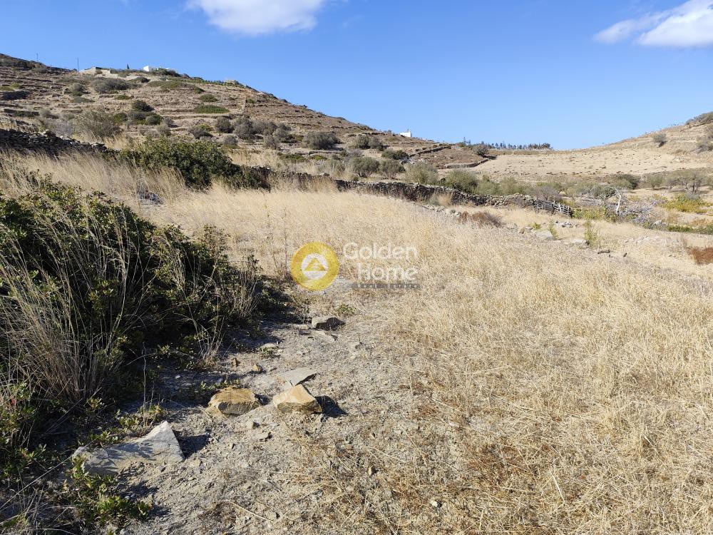 Αγροτεμάχια 7.800 τ.μ. προς πώληση, Άγιος Αρσένιος Νάξου
