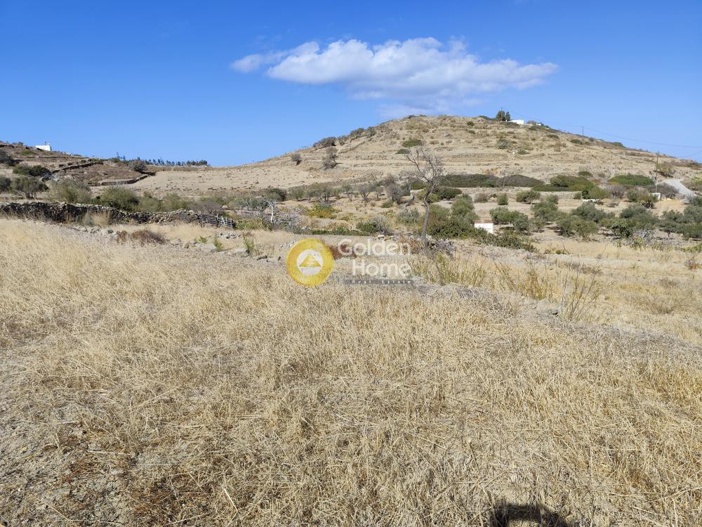 Αγροτεμάχια 7.800 τ.μ. προς πώληση, Άγιος Αρσένιος Νάξου