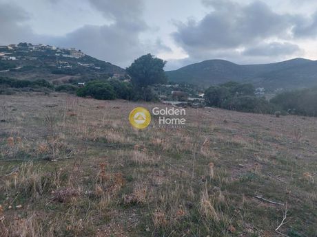 Αγροτεμάχια 4.165 τ.μ. για πώληση