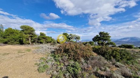 Αγροτεμάχια 31.240τ.μ. για πώληση-Παιανία » Ουλίντζι
