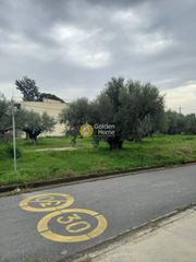 Οικόπεδο 1.450 τ.μ. για ενοικίαση, Μεσσηνία, Καλαμάτα-thumb-1