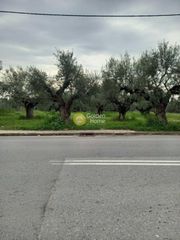 Οικόπεδο 1.450 τ.μ. για ενοικίαση, Μεσσηνία, Καλαμάτα-thumb-2