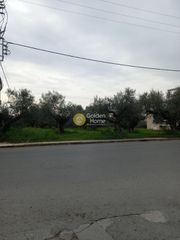 Οικόπεδο 1.450 τ.μ. για ενοικίαση, Μεσσηνία, Καλαμάτα-thumb-3