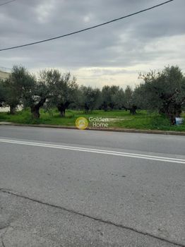 Οικόπεδο 1.450τ.μ. για ενοικίαση-Καλαμάτα » Ακοβίτικα