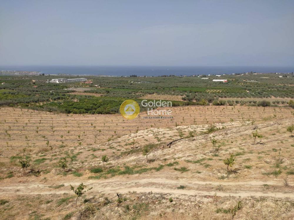 Οικόπεδο 38.000 τ.μ. προς πώληση, Καριώτικα Ξυλοκάστρου