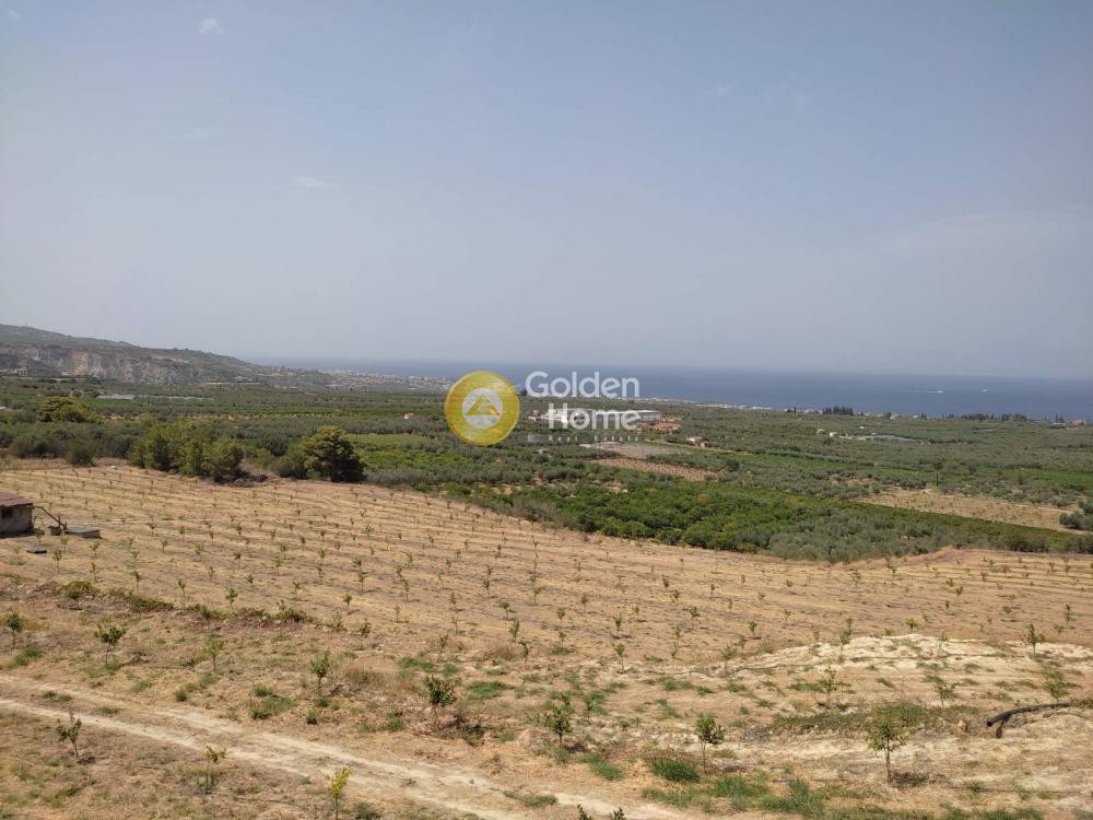 Οικόπεδο 38.000 τ.μ. προς πώληση, Καριώτικα Ξυλοκάστρου