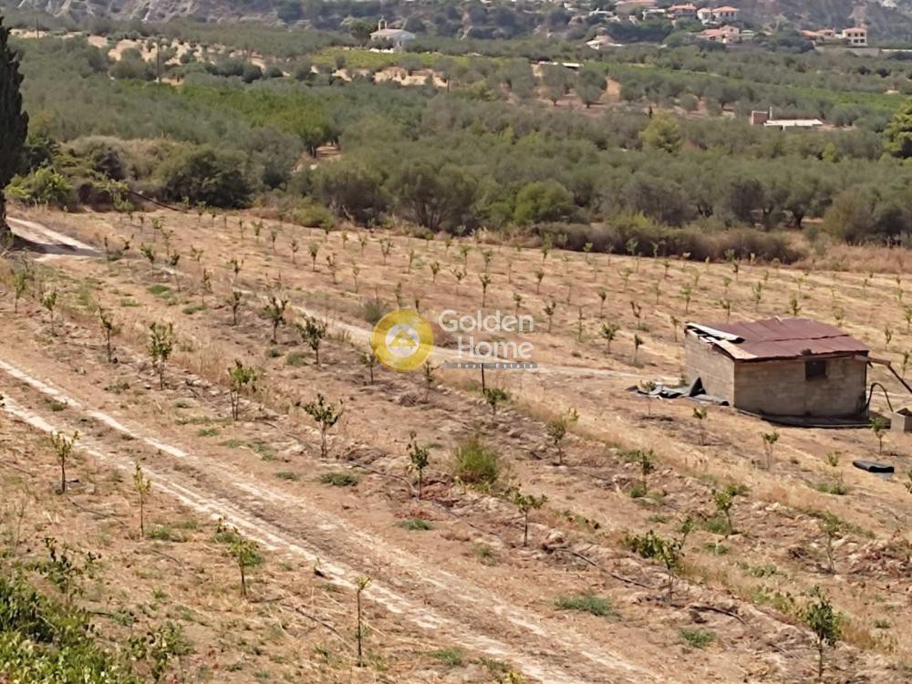 Οικόπεδο 38.000 τ.μ. προς πώληση, Καριώτικα Ξυλοκάστρου