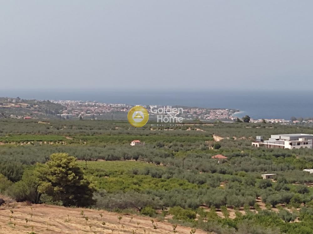 Οικόπεδο 38.000 τ.μ. προς πώληση, Καριώτικα Ξυλοκάστρου
