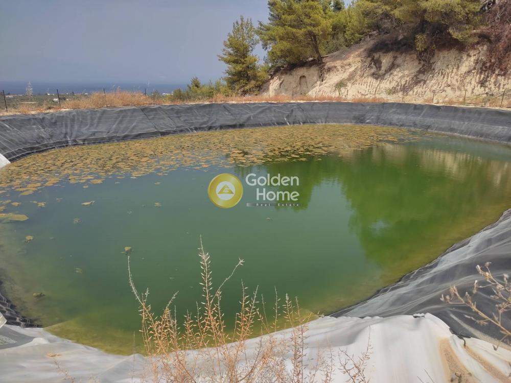 Οικόπεδο 38.000 τ.μ. προς πώληση, Καριώτικα Ξυλοκάστρου