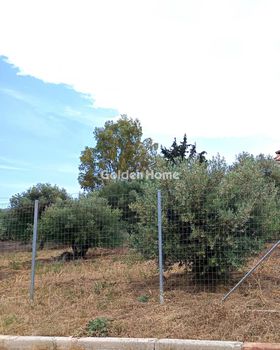 Οικόπεδο 810τ.μ. για ενοικίαση-Σπάτα » Χριστούπολη