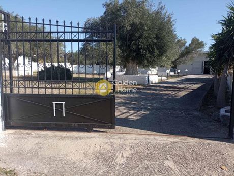 Μονοκατοικία 50τ.μ. για πώληση-Νέα πέραμος (μεγάλο πεύκο) » Νέα πέραμος