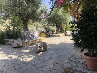 Επιχείρηση 65 τ.μ. προς πώληση, Γιάλοβα-thumb-5