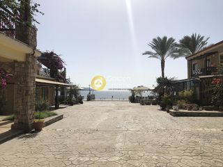 Επιχείρηση 65 τ.μ. προς πώληση, Γιάλοβα-thumb-17