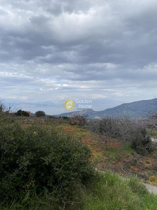 Land plot 1.726 sqm for sale, Achaia, Aigeira