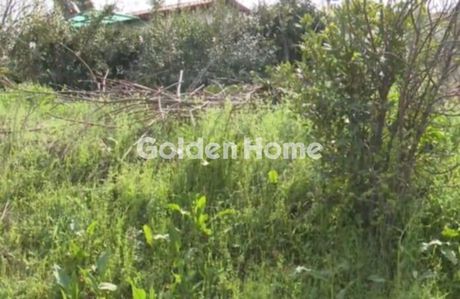 Οικόπεδο 6.435τ.μ. για πώληση-Διακοπτό » Διακοφτό