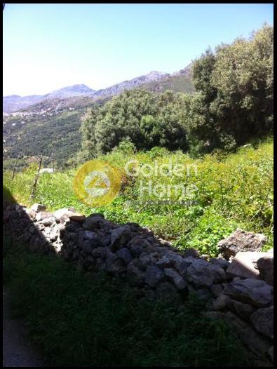 Οικόπεδο 350 τ.μ. πρός πώληση, Ν. Ρεθύμνου, Φοινίκας