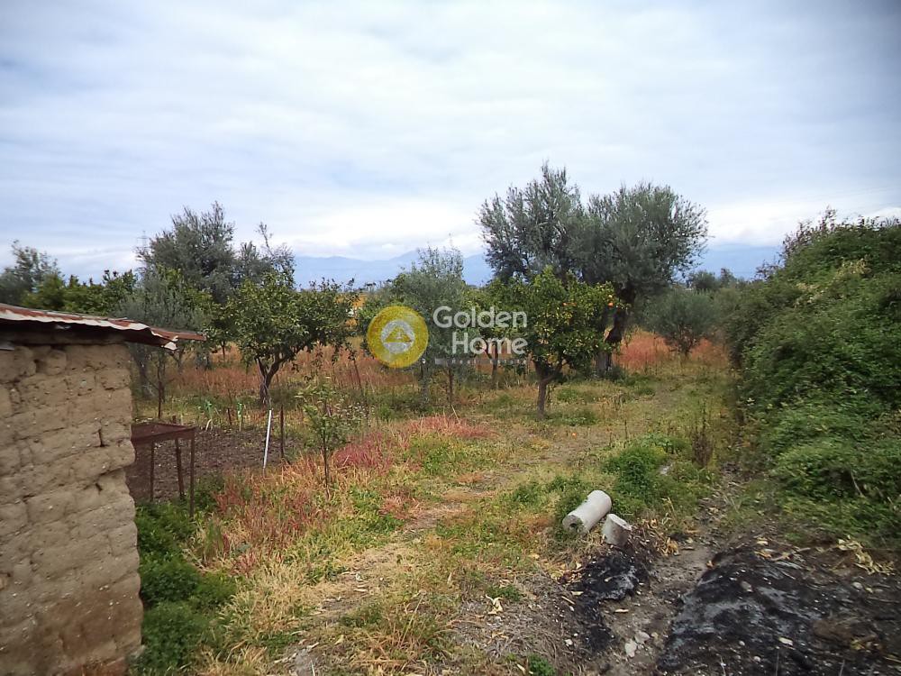 Αγροτεμάχια 3.834 τ.μ. πρός πώληση, Μαγνησία, Κάρλα
