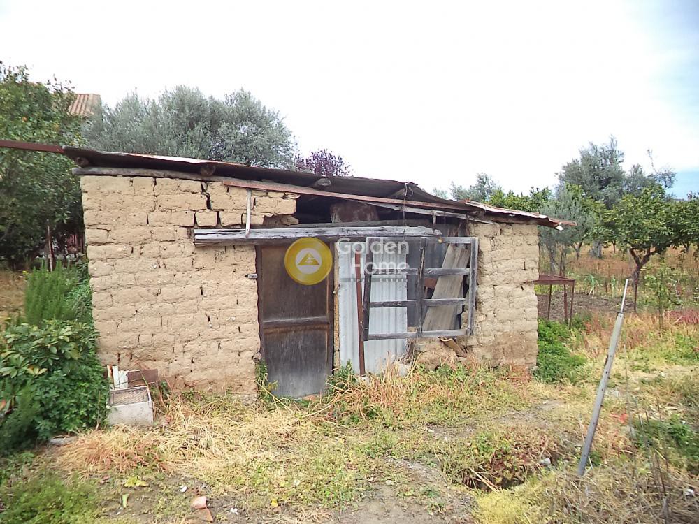 Αγροτεμάχια 3.834 τ.μ. πρός πώληση, Μαγνησία, Κάρλα