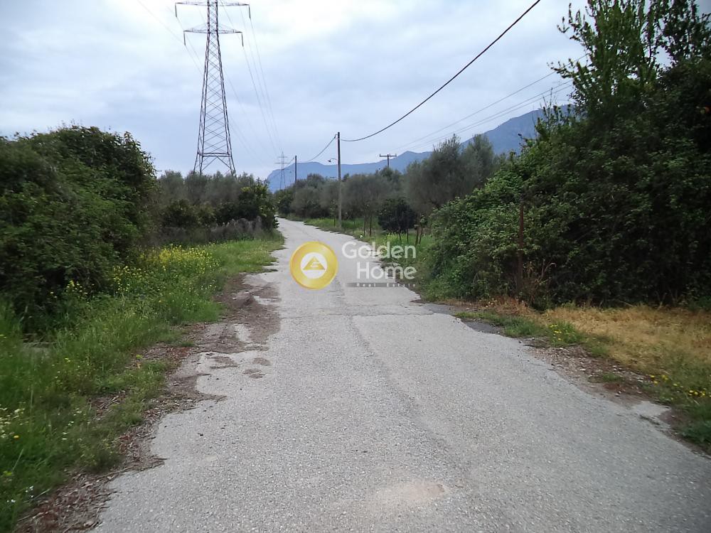 Αγροτεμάχια 3.834 τ.μ. πρός πώληση, Μαγνησία, Κάρλα
