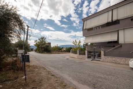 Οικόπεδο 1.047τ.μ. για πώληση-Πελασγία