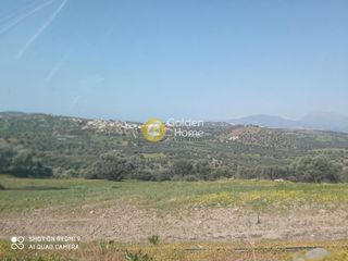 Οικόπεδο 10.050 τ.μ. για πώληση