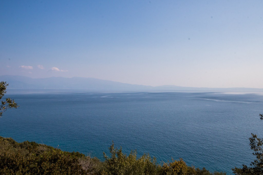 Αγροτεμάχια 23.500 τ.μ. πρός πώληση, Μαγνησία, Σούρπη