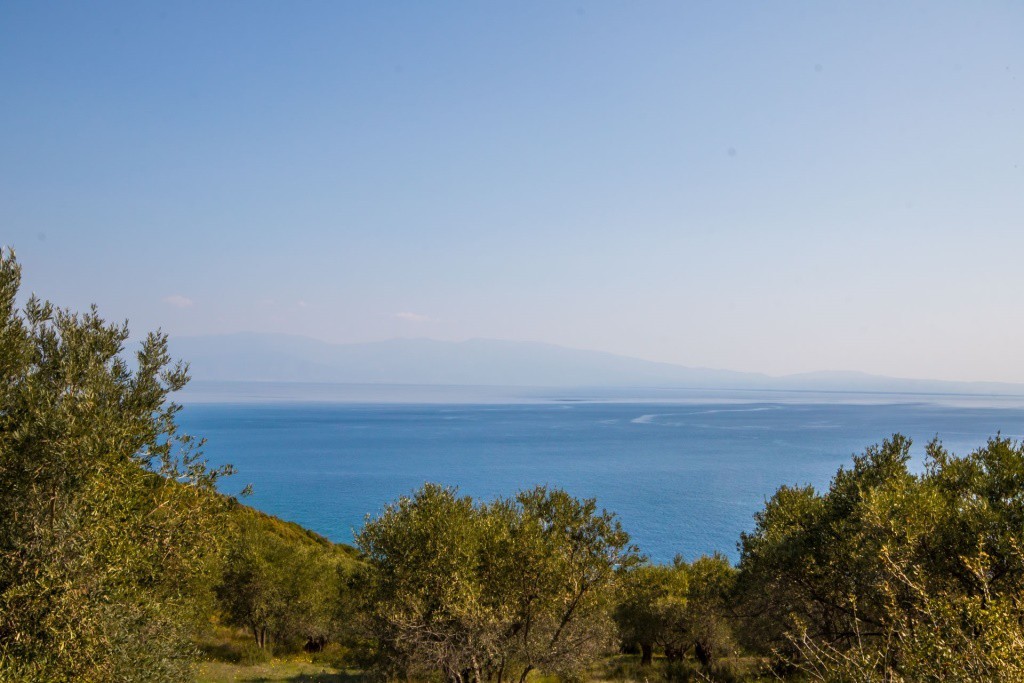 Αγροτεμάχια 23.500 τ.μ. πρός πώληση, Μαγνησία, Σούρπη