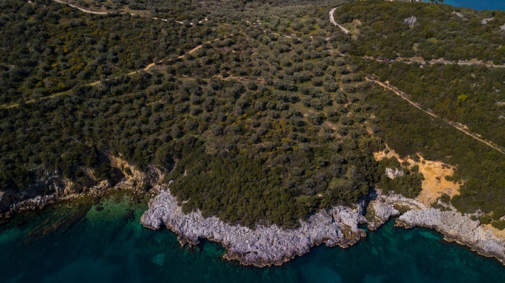 Αγροτεμάχια 23.500 τ.μ. πρός πώληση, Μαγνησία, Σούρπη