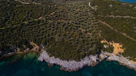 Αγροτεμάχια 23.500τ.μ. για πώληση-Σούρπη