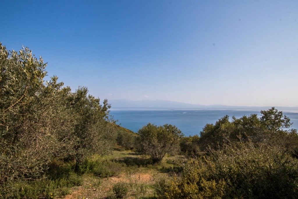 Αγροτεμάχια 23.500 τ.μ. πρός πώληση, Μαγνησία, Σούρπη
