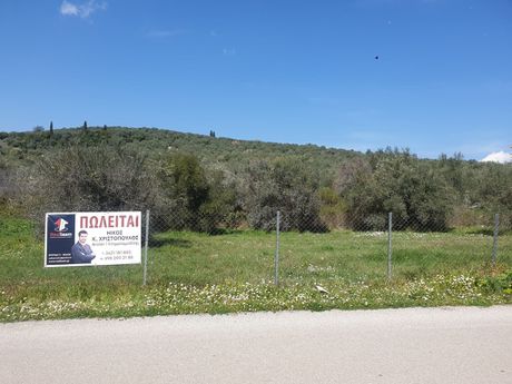 Οικόπεδο 4.502τ.μ. για πώληση-Πελασγία