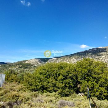 Αγροτεμάχια 4.010τ.μ. για πώληση-Κουτσοπόδι » Αεροδρόμιο