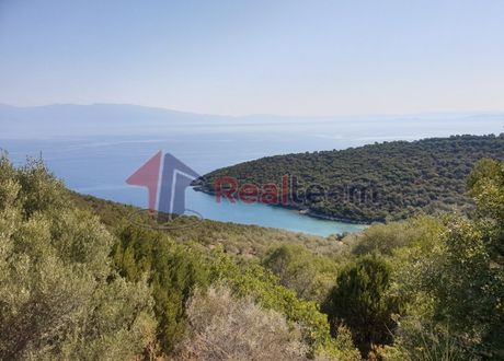 Αγροτεμάχια 9.221τ.μ. για πώληση-Σούρπη