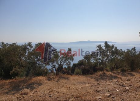 Αγροτεμάχια 16.705τ.μ. για πώληση-Σούρπη