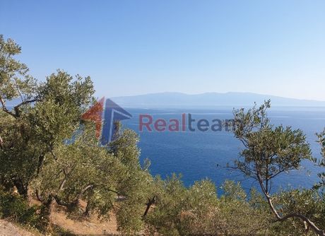 Αγροτεμάχια 9.992τ.μ. για πώληση-Σούρπη