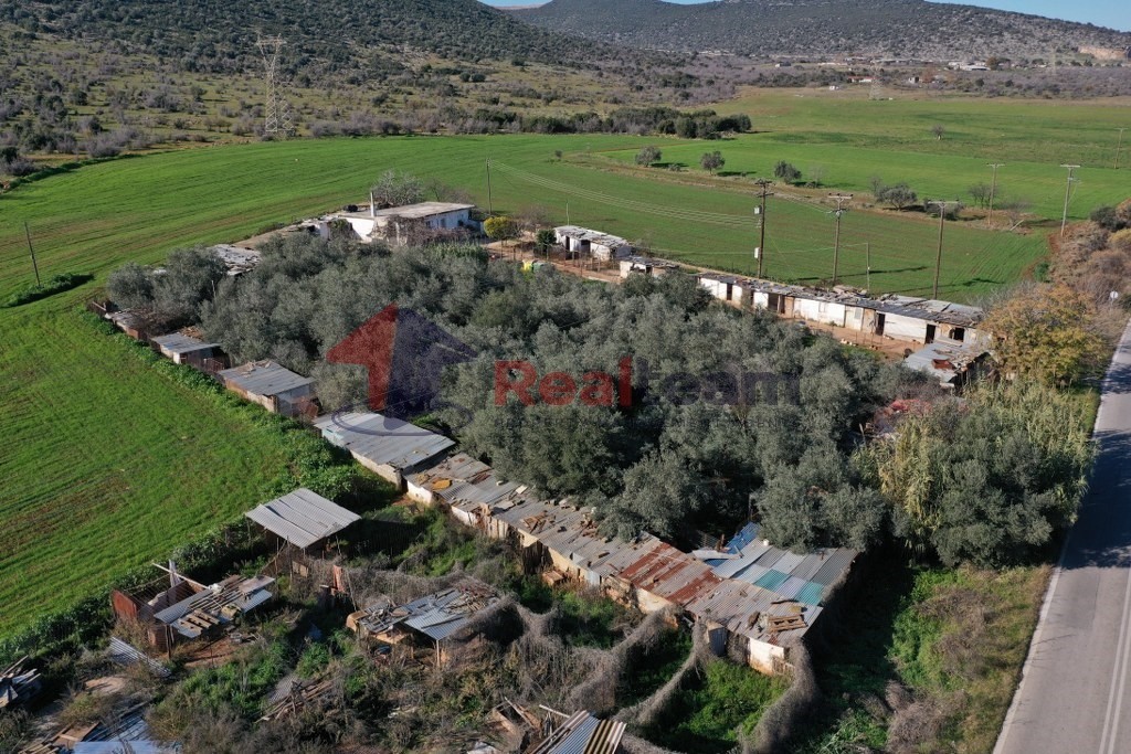 Μονοκατοικία 130 τ.μ. πρός πώληση, Μαγνησία, Αλμυρός