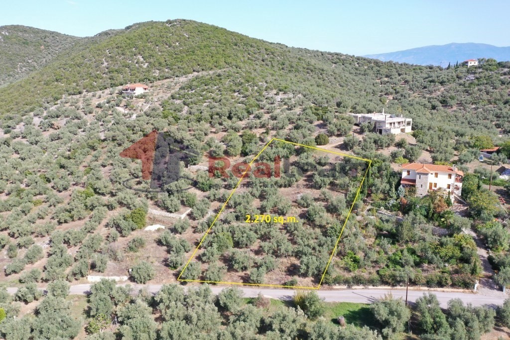Οικόπεδο 2.270 τ.μ. πρός πώληση, Μαγνησία, Σούρπη