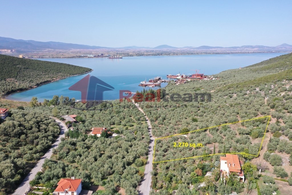 Οικόπεδο 2.270 τ.μ. πρός πώληση, Μαγνησία, Σούρπη