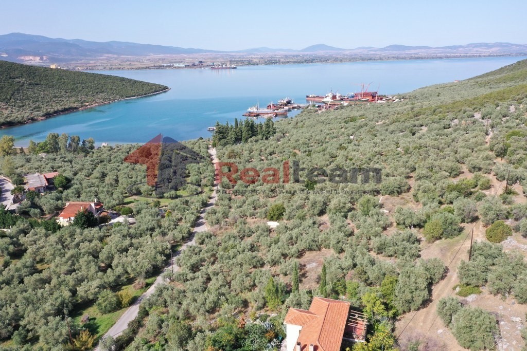 Οικόπεδο 2.270 τ.μ. πρός πώληση, Μαγνησία, Σούρπη