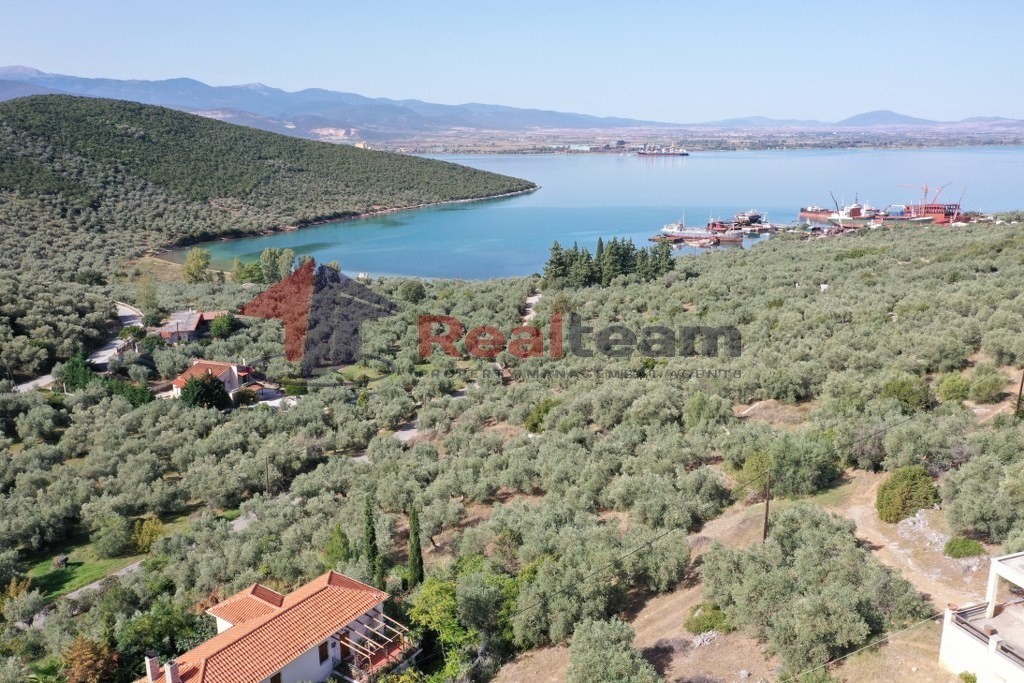 Οικόπεδο 2.270 τ.μ. πρός πώληση, Μαγνησία, Σούρπη