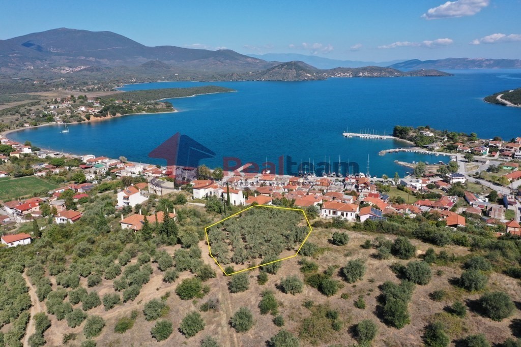 Οικόπεδο 1.446 τ.μ. προς πώληση, Μαγνησία, Πτελεός