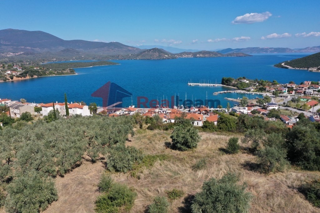 Οικόπεδο 1.446 τ.μ. προς πώληση, Μαγνησία, Πτελεός