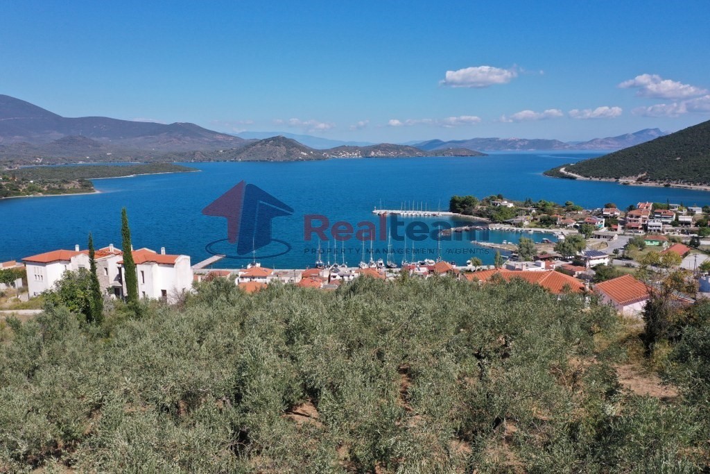 Οικόπεδο 1.446 τ.μ. προς πώληση, Μαγνησία, Πτελεός