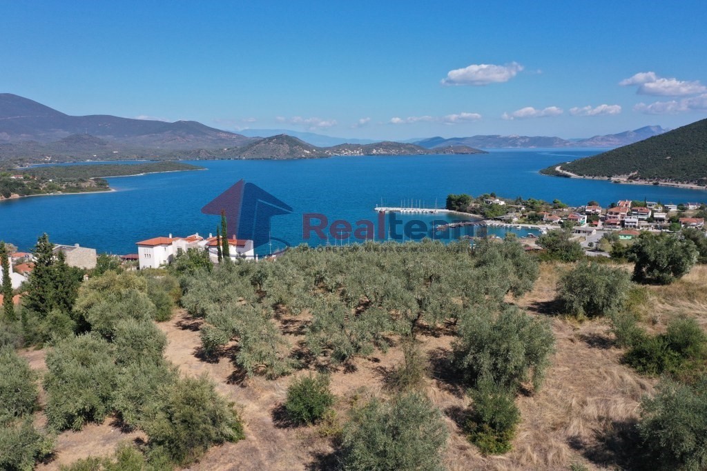 Οικόπεδο 1.446 τ.μ. προς πώληση, Μαγνησία, Πτελεός